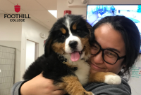 Эйлин Футхилл